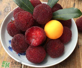 仙居楊梅幾月份上市？仙居楊梅什么時候上市？