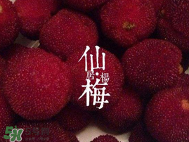 仙居楊梅多少錢一斤？仙居楊梅多少錢一斤2017？