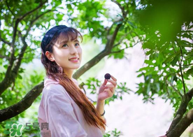 仙居楊梅在哪里？仙居楊梅哪里最好？