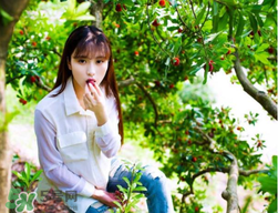 仙居楊梅在哪里？仙居楊梅哪里最好？