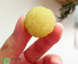 白楊梅多少錢一斤？白楊梅產(chǎn)地