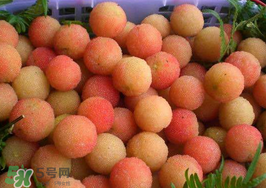 白楊梅可以泡酒嗎？白楊梅泡酒有什么功效？