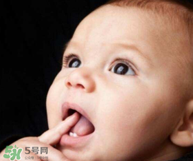 寶寶長牙的癥狀有哪些 寶寶長牙有什么癥狀? 寶寶長牙的癥狀有哪些 寶寶長牙有什么癥狀?