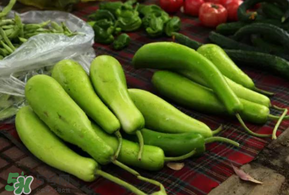 瓠子多少錢一斤？瓠子多少錢一斤2017？