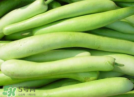 瓠子是什么？瓠子是什么意思？