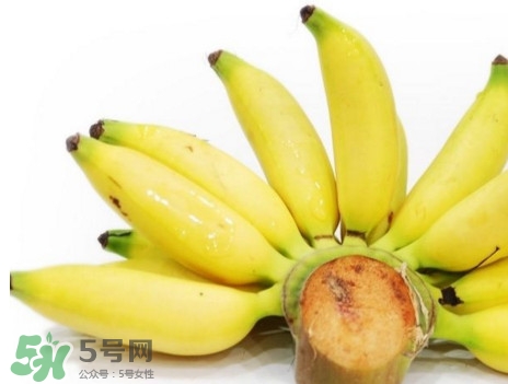 皇帝蕉是轉(zhuǎn)基因的嗎？皇帝蕉產(chǎn)地是哪里？