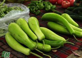 苦瓠子有毒嗎？苦瓠子中毒怎么辦？