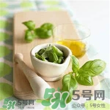 羅勒葉怎么種植?羅勒種植的方法 羅勒葉怎么種植?羅勒種植的方法