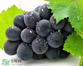 無籽葡萄有哪些品種？無籽葡萄多少錢一斤？