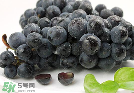 無籽葡萄有哪些品種？無籽葡萄多少錢一斤？