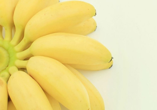 皇帝蕉是轉(zhuǎn)基因的嗎？皇帝蕉產(chǎn)地是哪里？