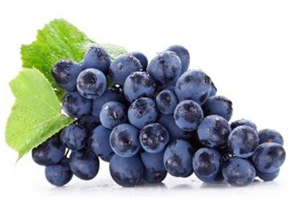 無籽葡萄有哪些品種？無籽葡萄多少錢一斤？