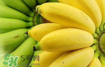 帝王蕉多少錢一斤？帝王蕉是轉(zhuǎn)基因香蕉嗎