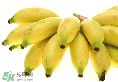 帝王蕉是芭蕉嗎？帝王蕉和芭蕉的區(qū)別