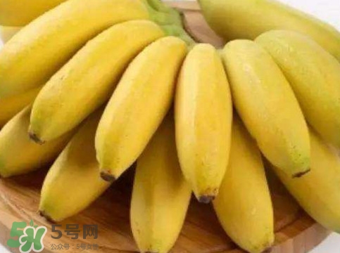 帝王蕉多少錢一斤？帝王蕉是轉(zhuǎn)基因香蕉嗎