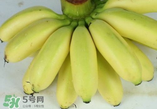 帝王蕉和皇帝蕉有區(qū)別嗎？帝王蕉和普通香蕉區(qū)別