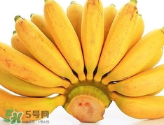 皇帝蕉是芭蕉嗎？皇帝蕉和芭蕉的區(qū)別