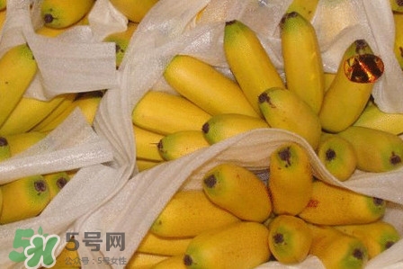 皇帝蕉是不是香蕉？皇帝蕉與普通香蕉區(qū)別