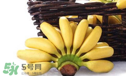 帝王蕉是芭蕉嗎？帝王蕉和芭蕉的區(qū)別