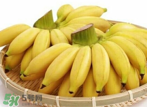 皇帝蕉是芭蕉嗎？皇帝蕉和芭蕉的區(qū)別