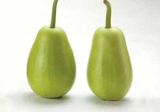 苦瓠子有毒嗎？苦瓠子中毒怎么辦？