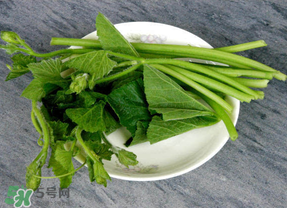 南瓜葉怎么處理？南瓜葉怎么炒？