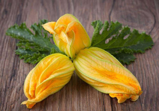 南瓜花花蕊能吃嗎？南瓜花是雌雄同株嗎