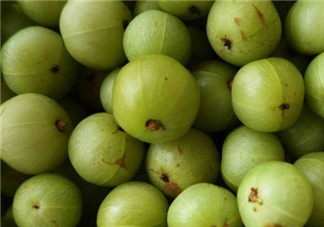 油柑葉枕頭適合嬰兒?jiǎn)?油柑葉枕頭功效