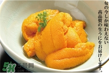 海膽的做法 海膽的吃法 海膽的做法 海膽的吃法