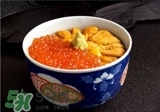 海膽的做法 海膽的吃法 海膽的做法 海膽的吃法