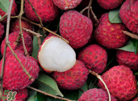 荔枝空腹吃有什么危害？為什么空腹吃荔枝不好？