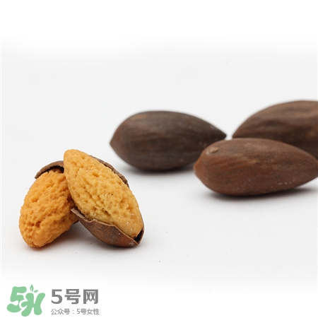 香榧是什么?香榧子有什么價值 香榧是什么?香榧子有什么價值