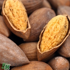 香榧是什么?香榧子有什么價值 香榧是什么?香榧子有什么價值