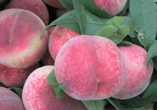 毛桃熱量高嗎？一個(gè)毛桃的熱量