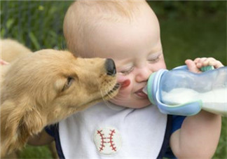 外國奶粉一定適合中國寶寶嗎 外國奶粉比國產(chǎn)奶粉更好嗎？