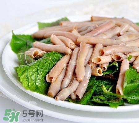 海腸是什么東西?海腸子是什么東西? 海腸是什么東西?海腸子是什么東西?