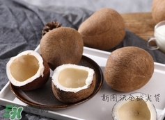 椰皇的營養(yǎng)價(jià)值_椰皇的功效與作用及食用禁忌 椰皇的營養(yǎng)價(jià)值_椰皇的功效與作用及食用禁忌