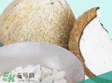 椰皇的營養(yǎng)價(jià)值_椰皇的功效與作用及食用禁忌 椰皇的營養(yǎng)價(jià)值_椰皇的功效與作用及食用禁忌