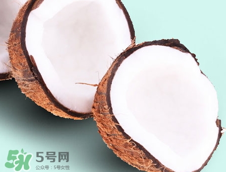 椰皇的營養(yǎng)價(jià)值_椰皇的功效與作用及食用禁忌 椰皇的營養(yǎng)價(jià)值_椰皇的功效與作用及食用禁忌