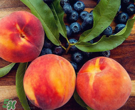 藍(lán)莓和桃子能一起吃嗎？藍(lán)莓和桃子能一塊吃嗎？