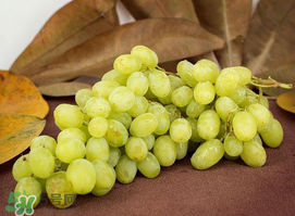 青提怎么洗？青提怎么洗才干凈？