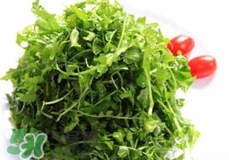 薺薺菜的營養(yǎng)價值 薺薺菜的藥用價值 薺薺菜的營養(yǎng)價值 薺薺菜的藥用價值