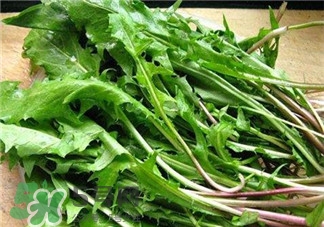 薺薺菜的營養(yǎng)價值 薺薺菜的藥用價值 薺薺菜的營養(yǎng)價值 薺薺菜的藥用價值