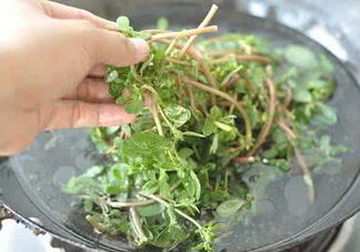 螞蚱菜能生吃嗎？螞蚱菜可以生吃嗎