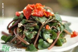 螞蚱菜孕婦可以吃嗎？螞蚱菜的功效與作用