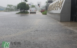 入梅的標準是什么？2017江蘇入梅時間