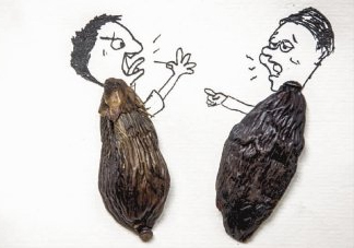 口味王檳榔是什么東西？口味王檳榔怎么吃