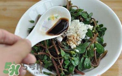 螞蚱菜怎么炒好吃？螞蚱菜做法有哪幾種