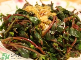 螞蚱菜怎么炒好吃？螞蚱菜做法有哪幾種