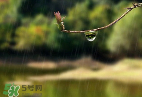 2017年什么時候入梅？2017年入梅出梅時間